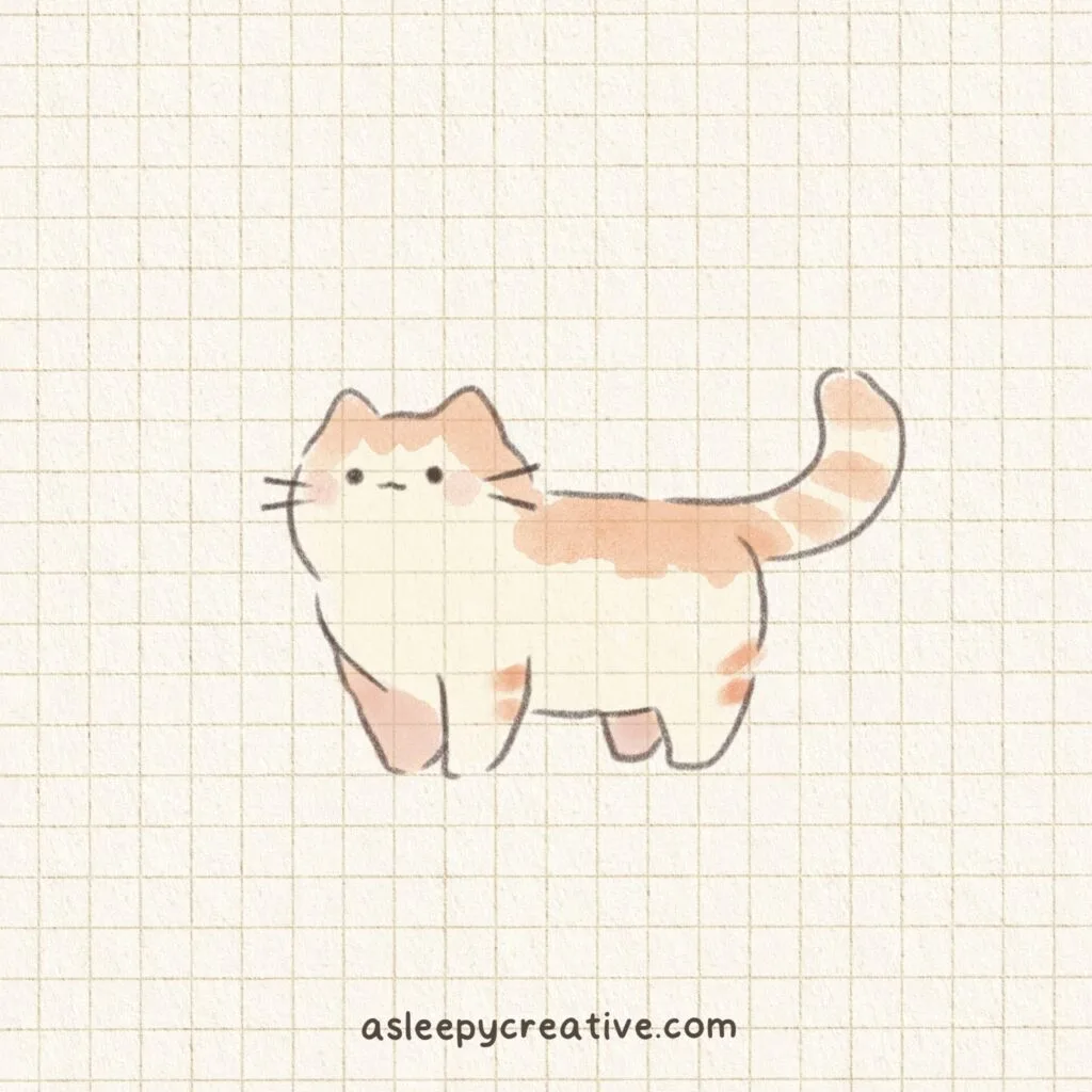 Cat Drawing Ideas