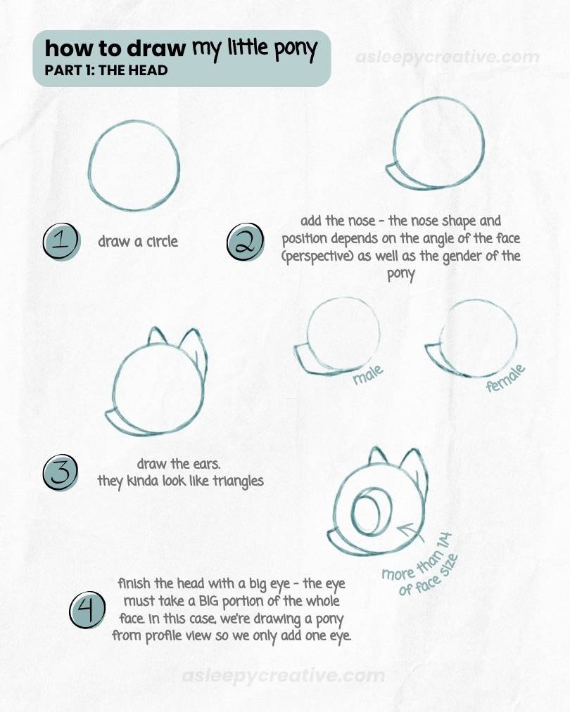 How To Draw My Little Pony Step by Step How To Draw My Little Pony Step by Step
