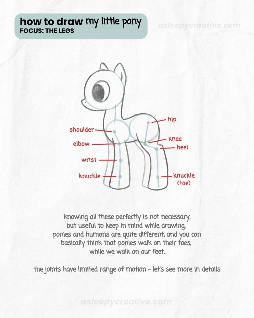 My Little Pony Legs Tutorial (1) My Little Pony Legs Tutorial (1)