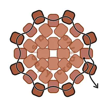 3D mini acorn beading pattern row 5 diagram: second regular round of 8 dark brown beads